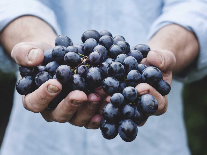 安德的游戏<br>rcdjexg.cn 虫族战争指挥